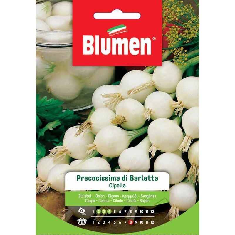 foto del prodotto blumen. semi di cipolla precocissima di barletta