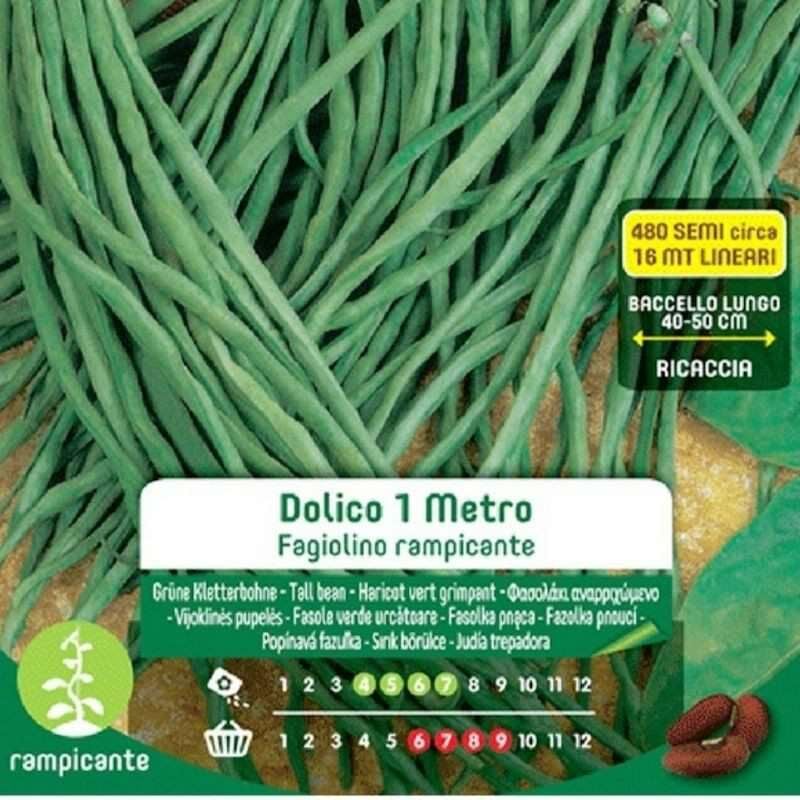 foto del prodotto blumen semi di fagiolino rampicante dolico 1 metro in busta maxi