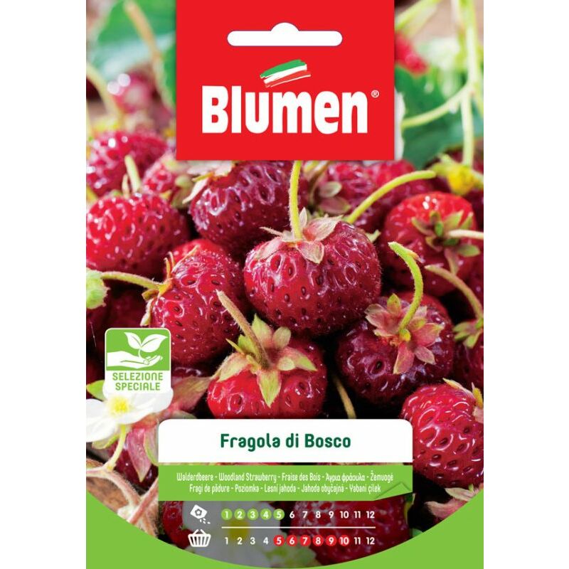 foto del prodotto blumen. semi di fragola di bosco