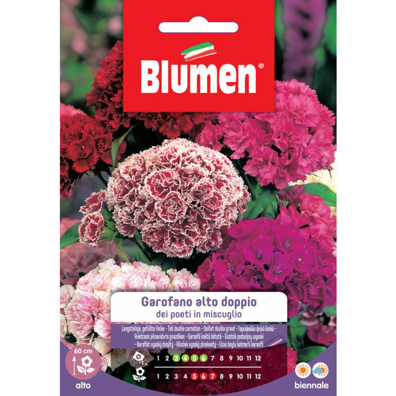 foto del prodotto blumen semi di garofano dei poeti