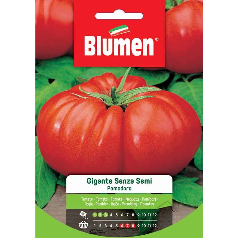 foto del prodotto blumen. semi di pomodoro gigante senza semi