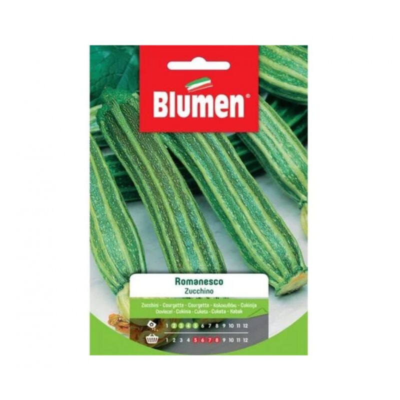 foto del prodotto blumen semi di zucchino romanesco