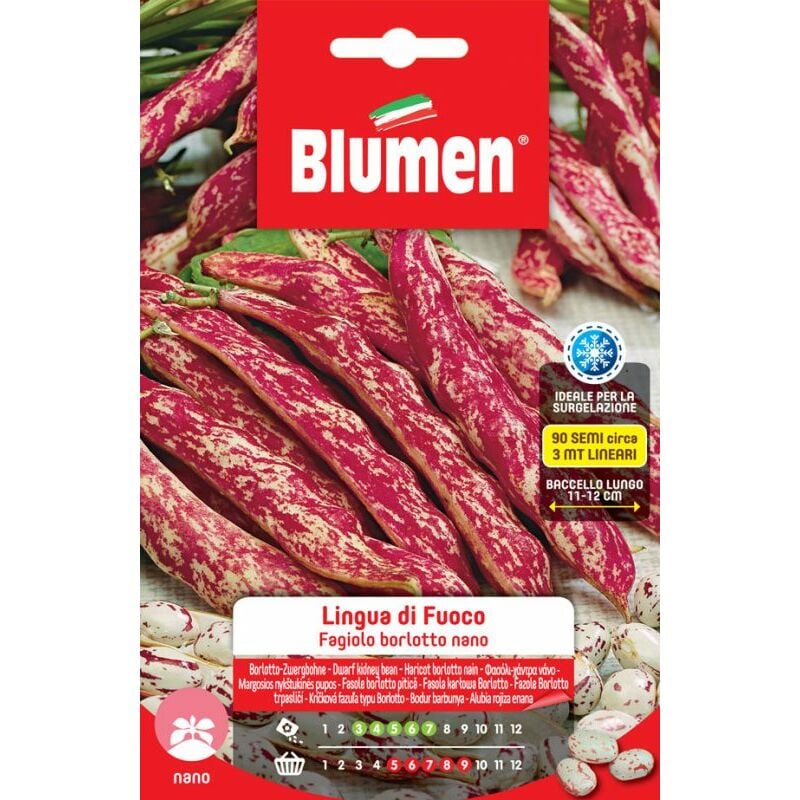 foto del prodotto blumen semi fagioli borlotti nani lingua di fuoco sementi orto