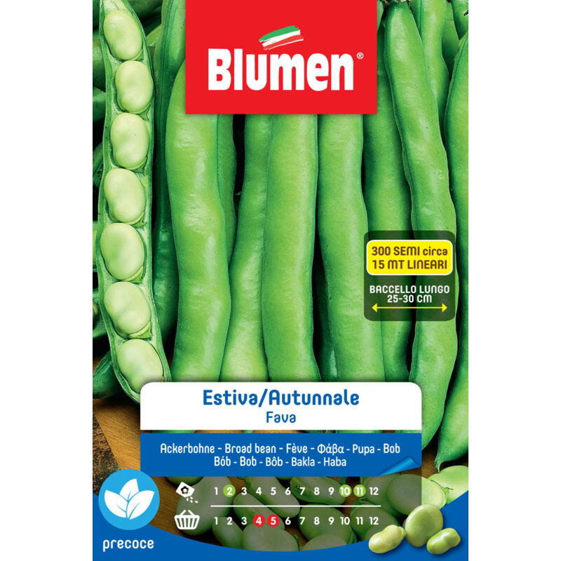 foto del prodotto blumen semi fava estiva autunnale