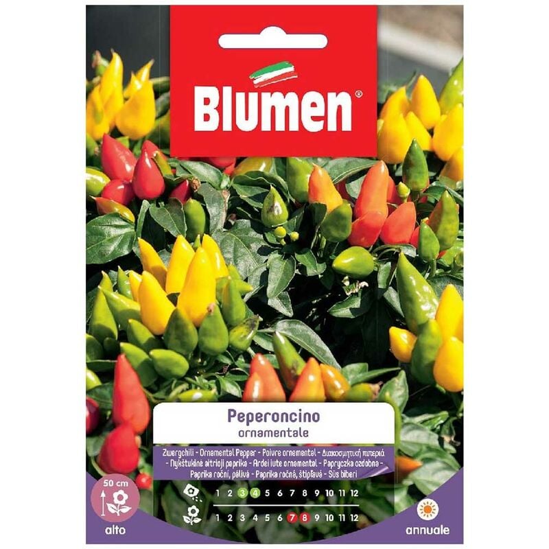 foto del prodotto blumen semi peperoncino ornamentale sementi