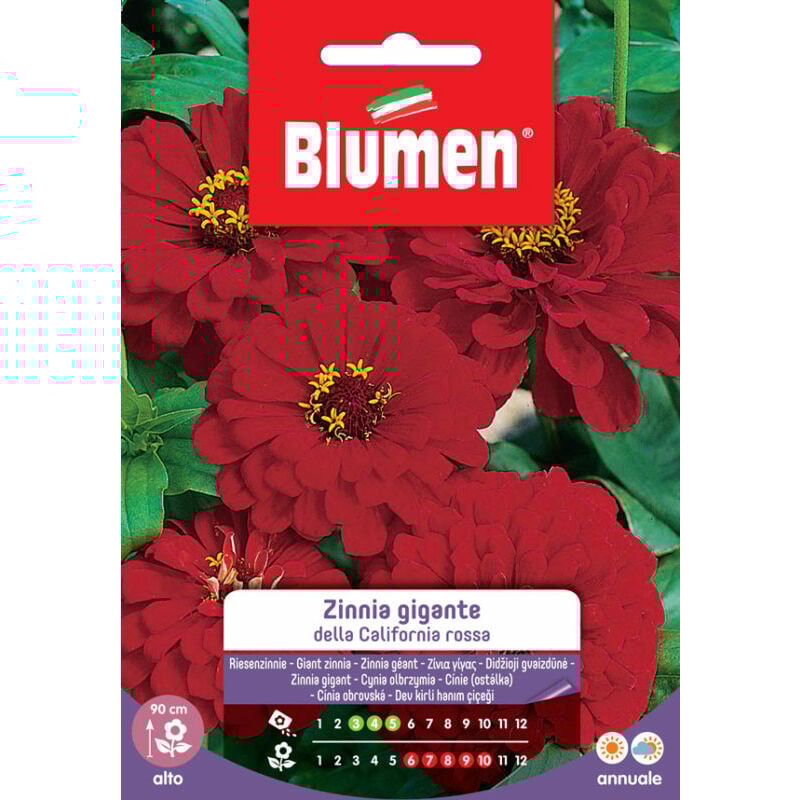 foto del prodotto blumen semi zinnia gigante della california rossa sementi fiori