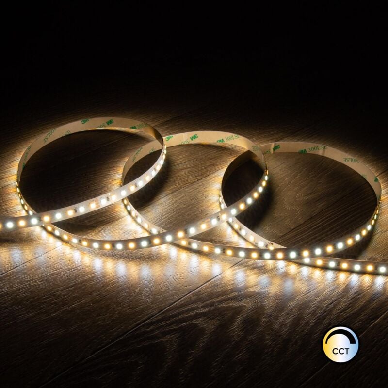 foto del prodotto bobina 5m striscia led 24v smd cct 120 led m 10w m 800lm m larga 10mm ip20 taglio 10cm cct