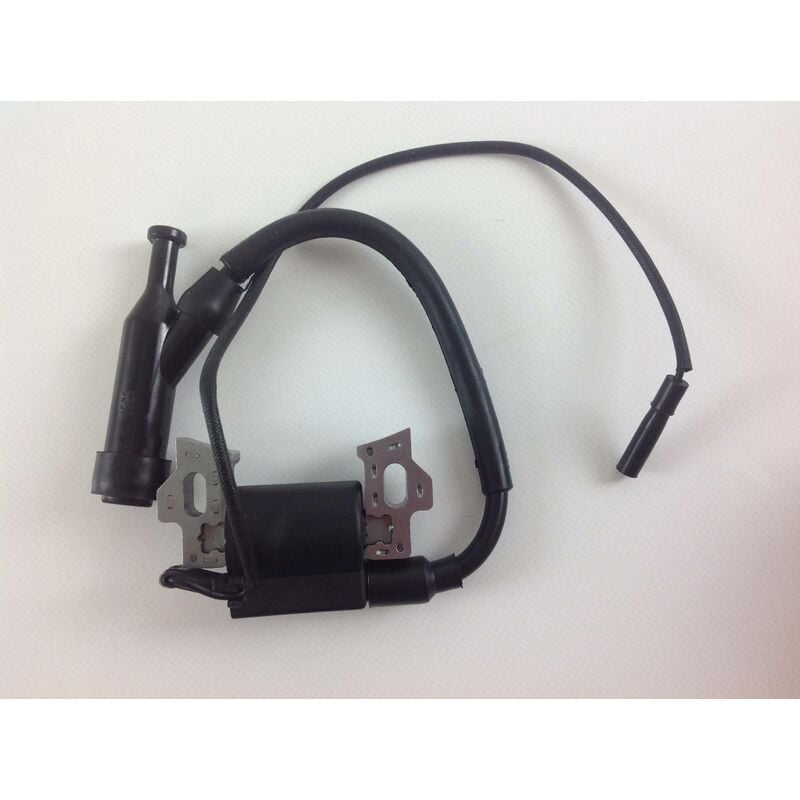 foto del prodotto bobina accensione avviamento motocoltivatore originale loncin 270920162 0001