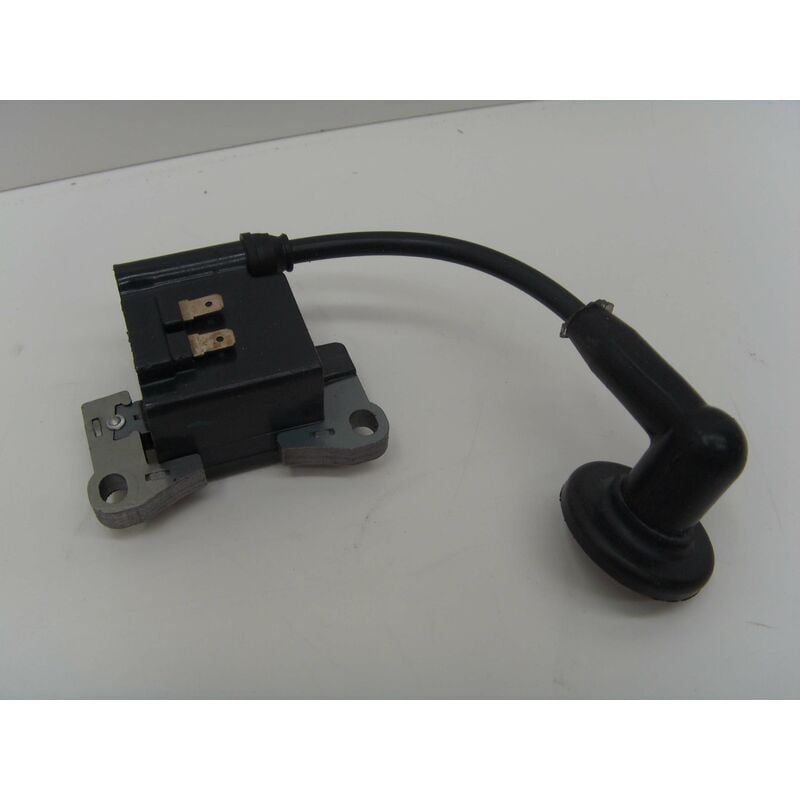 foto del prodotto bobina accensione castelgarden stiga 123044010 0 1230440100 23044010 0 230440100 ggp 123044010 0 1230440100