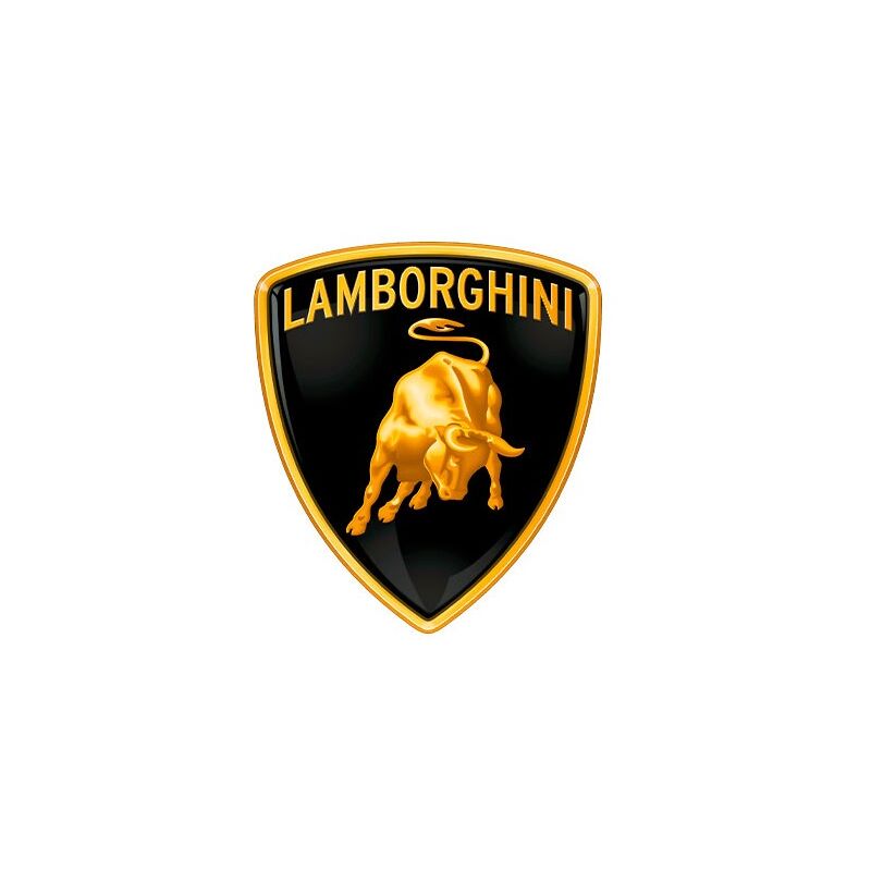 foto del prodotto bobina di accensione decespugliatore compatibile lamborghini 1p64f