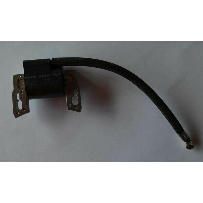 foto del prodotto bobina di accensione ulisem briggs stratton 797040, alta tensione per accensione.