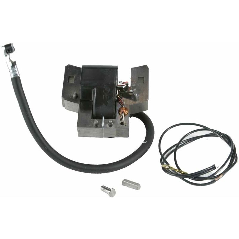 foto del prodotto bobina elettronica compatibile con motore briggs stratton 5 hp vecchio modello