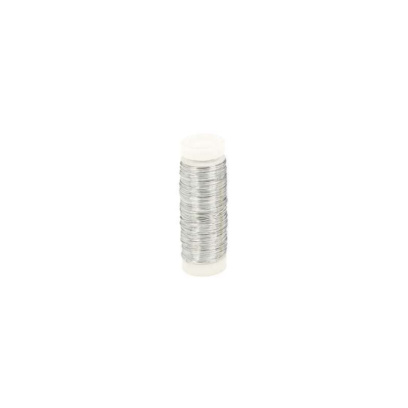 foto del prodotto bobina filo argento diametro mm.0,30 gr.50