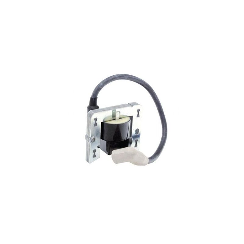 foto del prodotto bobina motore rasaerba tagliaerba tecumseh ah600 bh bh e 35
