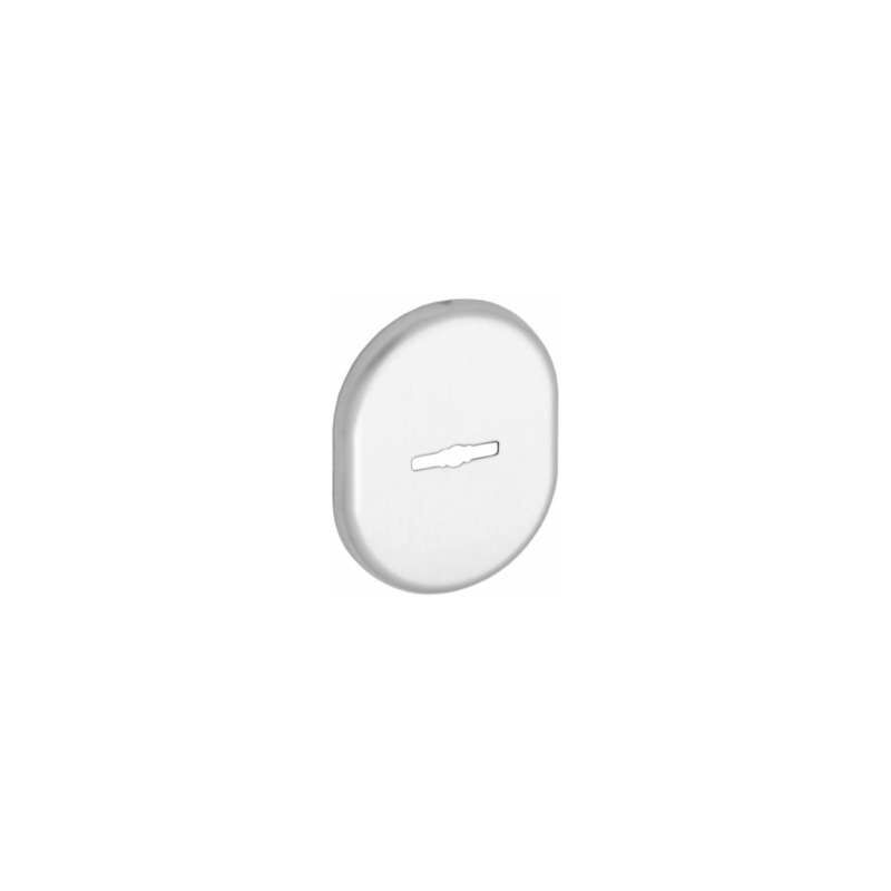foto del prodotto bocchetta per porte blindate in alluminio