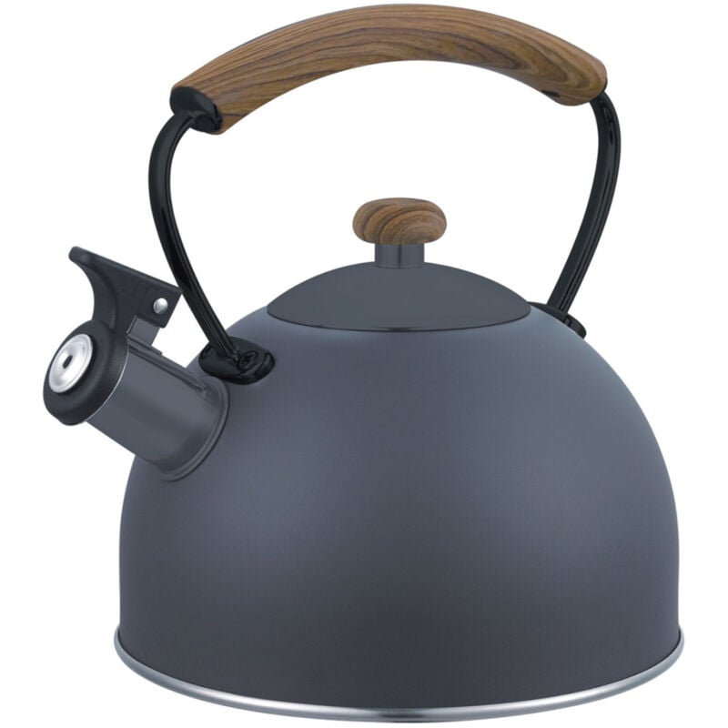 foto del prodotto bollitore con fischio brunbeste 2,5l 2461 grigio