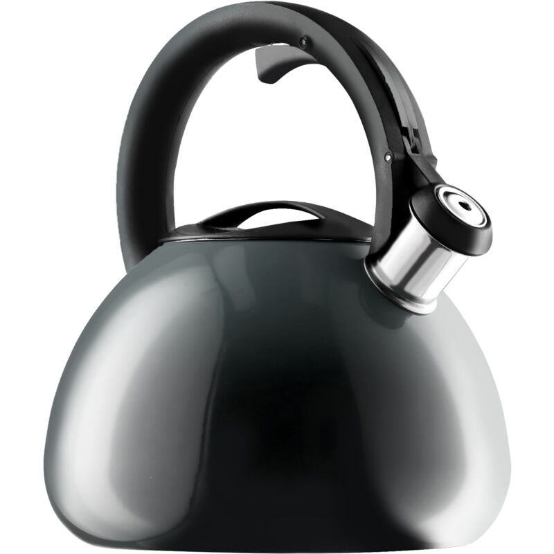 foto del prodotto bollitore con fischio in acciaio inossidabile kadax 3l - bollitore retrò in 3 colori diversi - con effetto sfumato - grigio