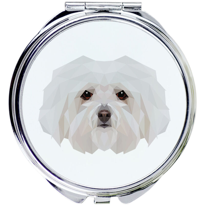 foto del prodotto bolognese uno specchio con una foto e una scritta geometrica di art dog