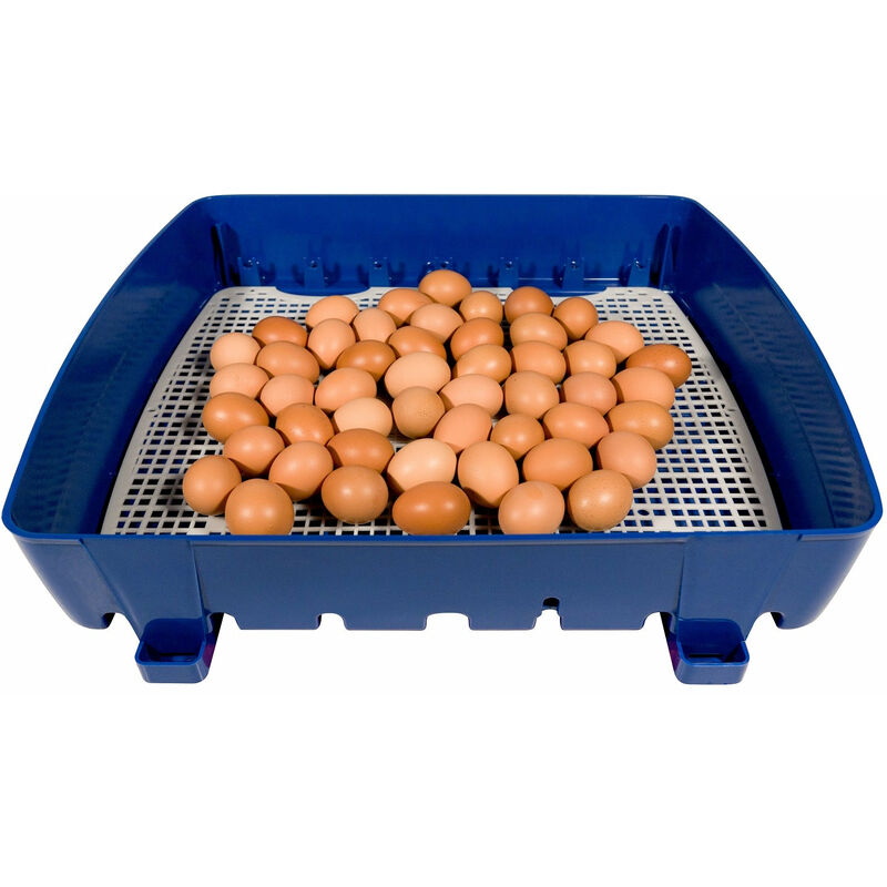 foto del prodotto borotto incubatrice per uova semi automatica professionale real 49