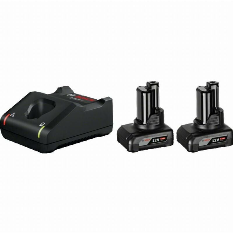 foto del prodotto bosch confezione 2 batterie 2 batterie gba 12v 6ah caricatore gal12v 40 1600a01b20