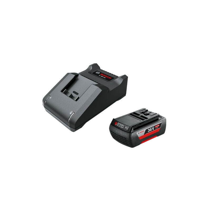 foto del prodotto bosch kit batteria caricatore 36volt 2ah f016800609