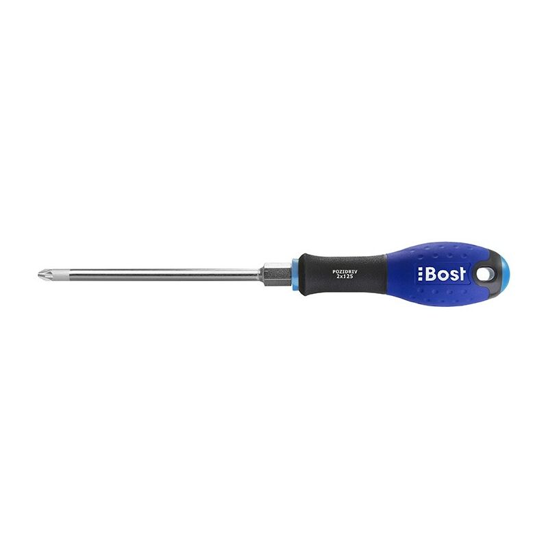 foto del prodotto bost cacciavite con dado esagonale lama a croce pozidriv expert pz2 x 125 mm 624600