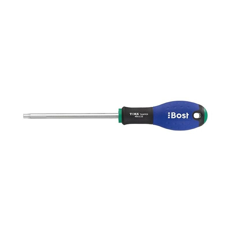 foto del prodotto bost - cacciavite lama resistorx expert - tt25 x 100 mm - 624830