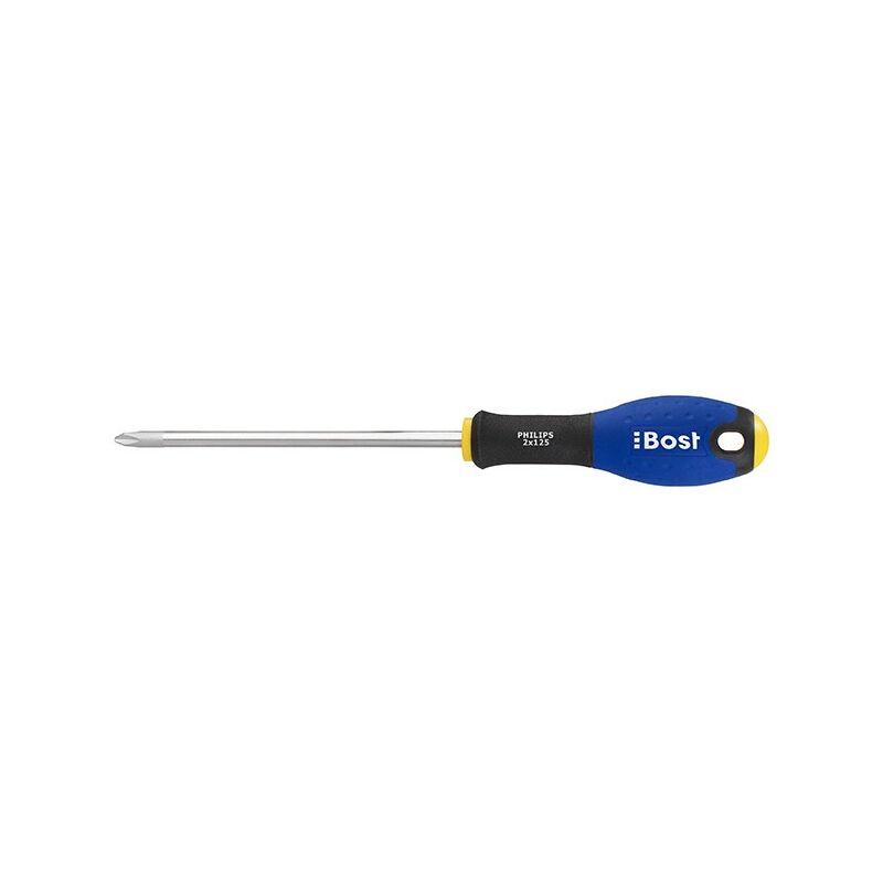 foto del prodotto bost cacciavite phillips expert a croce ph1 x 100 mm 624440