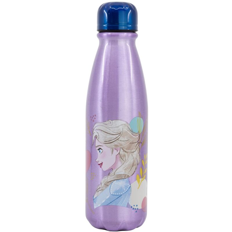foto del prodotto bottiglia in alluminio per bambini 600 ml frozen t stor