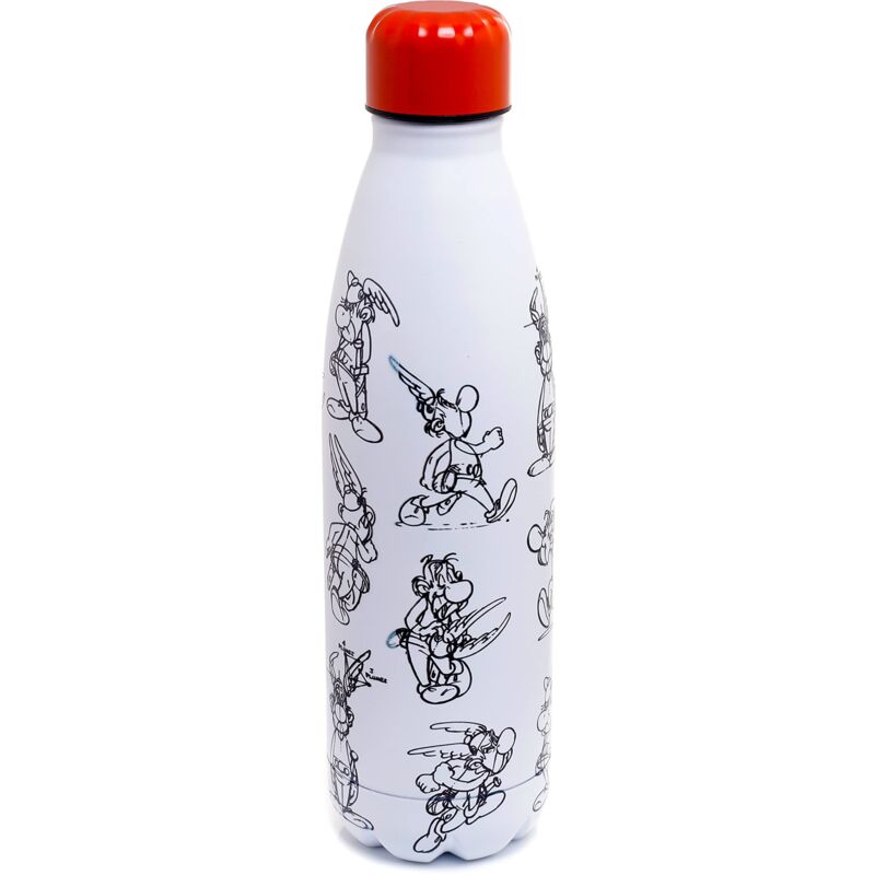 foto del prodotto bottiglia termica in acciaio 500ml asterix puckator