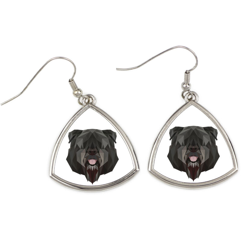 foto del prodotto bouvier des flandres - orecchini con foto e scritta cane geometrico art-dog