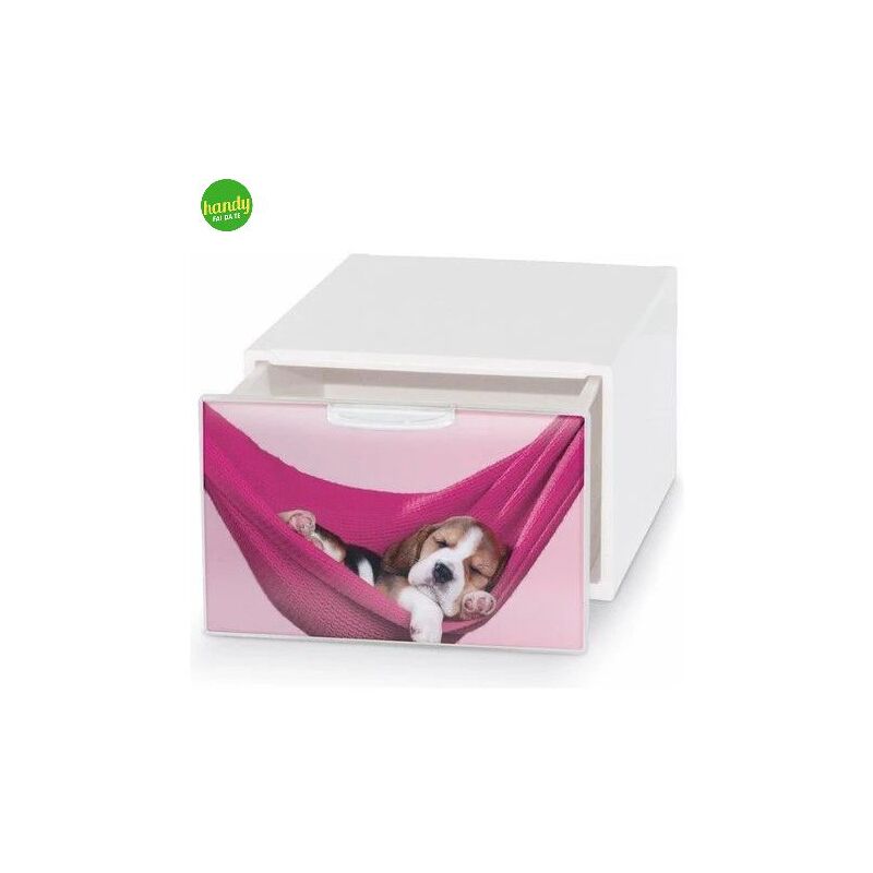foto del prodotto box deco domoliving qbox mini pets bianco 10,5 x 15,5 x 20 cm