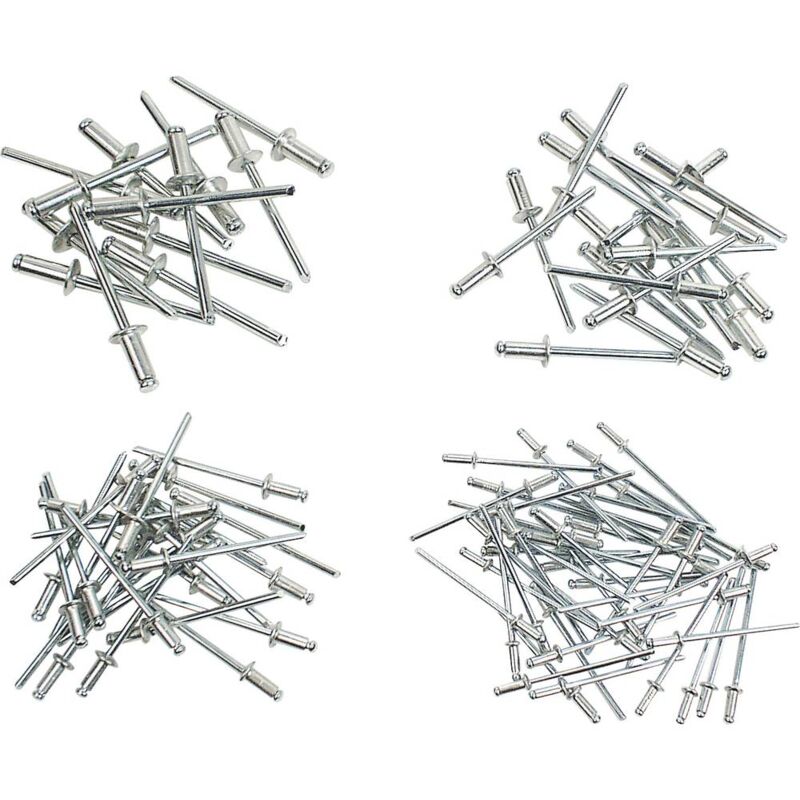 foto del prodotto br der mannesmann m 1097 s assortimento di rivetti contenuto 600 kit