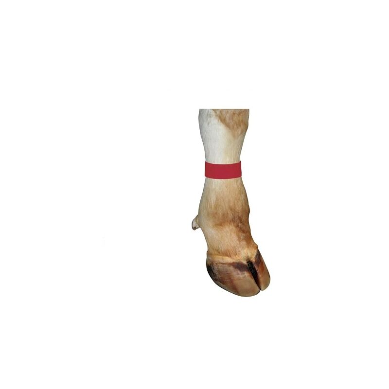 foto del prodotto bracciale kerbl con chiusura in velcro per manzo, 33 x 4 cm, rosso