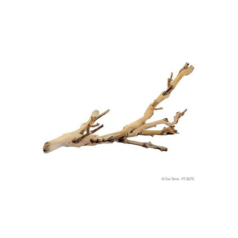 foto del prodotto branch forest branch s 30 cm exo terra