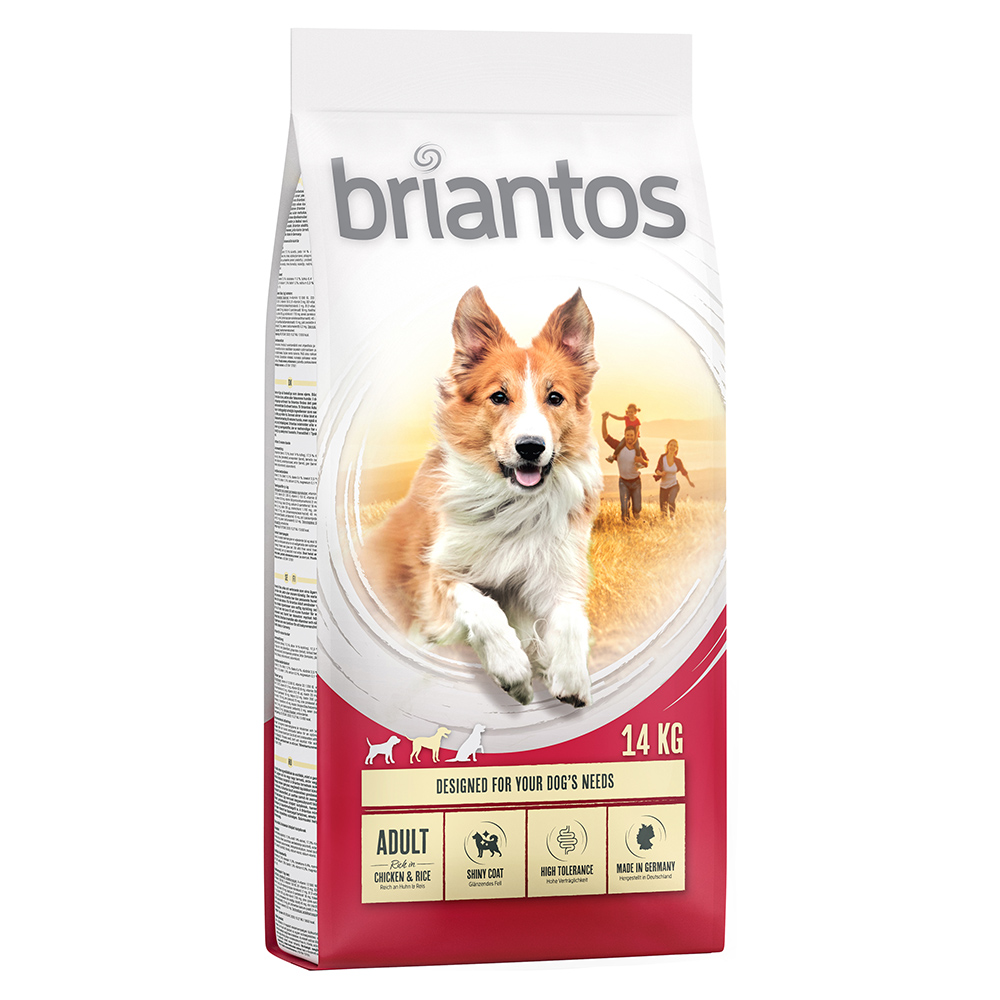 foto del prodotto briantos adult pollo riso crocchette per cane 14 kg