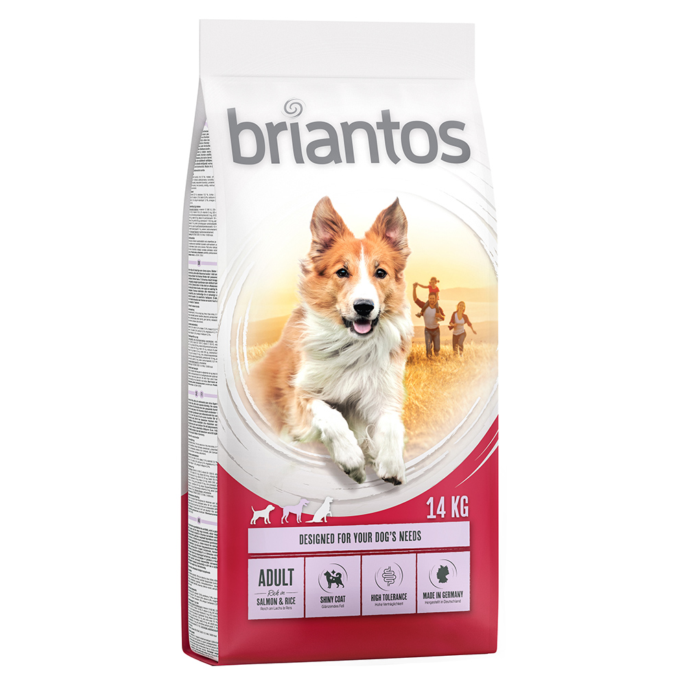 foto del prodotto briantos adult salmone riso crocchette per cane 14 kg