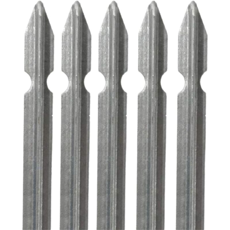 foto del prodotto bricoshop24 - 5 paletti in ferro per recinzione 200 cm a t