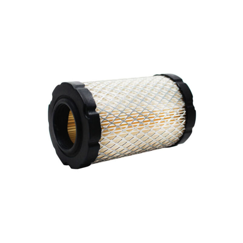 foto del prodotto briggs&amp;stratton - filtro aria 594201, 591334, 796031, 992 per motore tosaerba