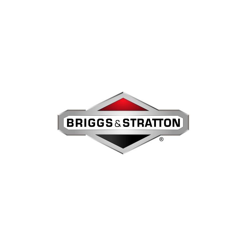 foto del prodotto briggs&amp;stratton - set asta/tubo di misurazione briggs e stratton - 594022