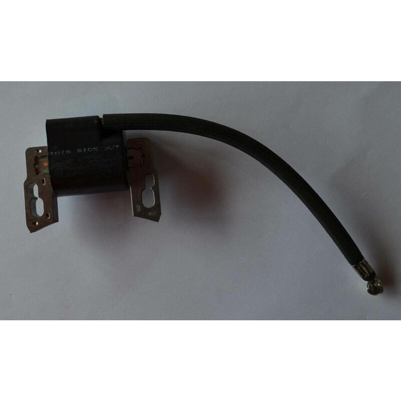 foto del prodotto briggs stratton 797040 bobina di accensione bobina di accensione accenditore ad alta tensione