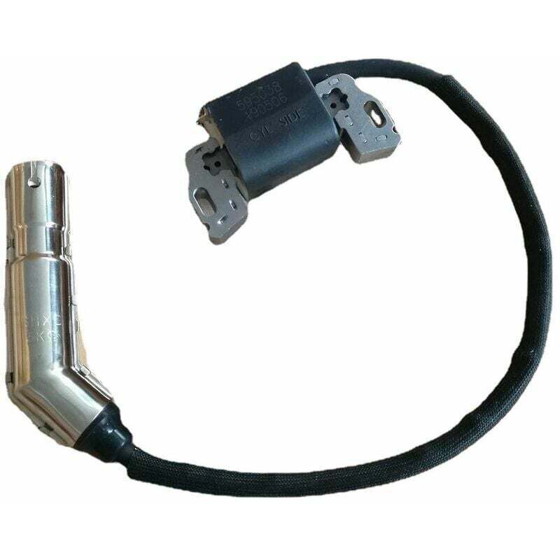 foto del prodotto briggs stratton accensione 595304 799650 795315 pacchetto accenditore ad alta tensione