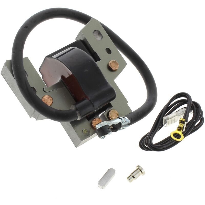 foto del prodotto briggs stratton bobina d accensione 796964 per motore tosaerba