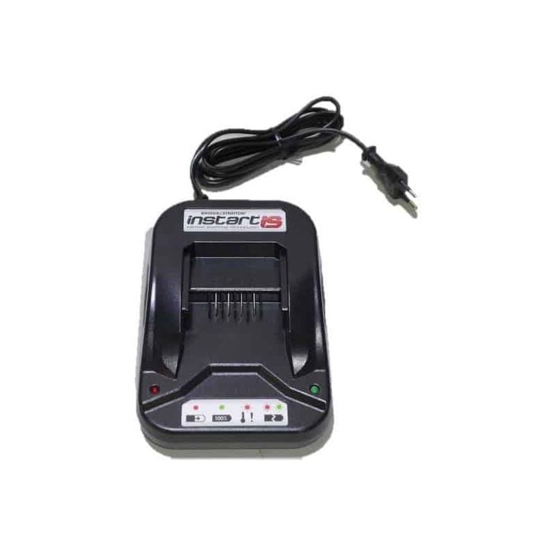 foto del prodotto briggs stratton caricabatterie briggs e stratton instart, 593562