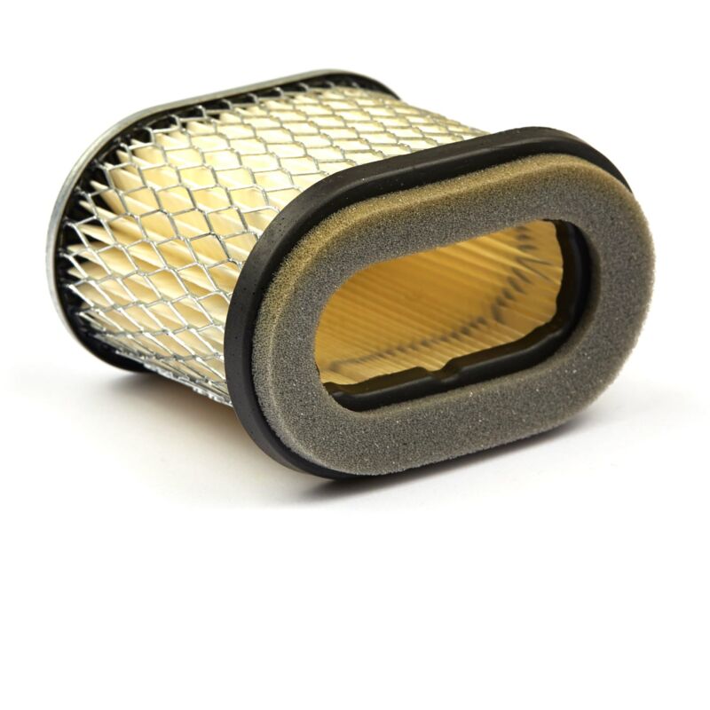 foto del prodotto briggs stratton cartuccia filtro dell aria originale 692446