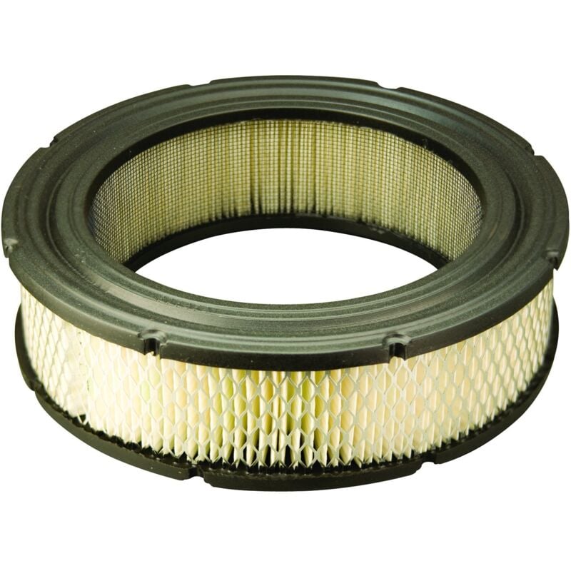 foto del prodotto briggs stratton cartuccia filtro dell aria originale vanguard v twin 692519