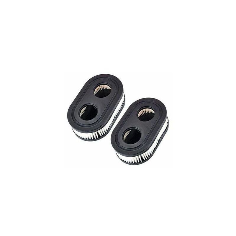 foto del prodotto briggs stratton filtri dell aria per tosaerba 798452 593260 5432 5432k,a