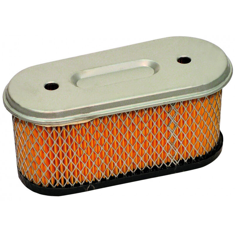 foto del prodotto briggs stratton filtro aria 491021
