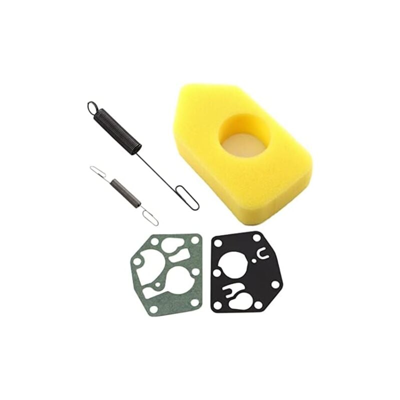 foto del prodotto briggs stratton filtro aria 698369 molla regolatore 691859 692211 membrana 495770 795083 per briggs stratton 3,5 4,5 cv classic sprint quattro