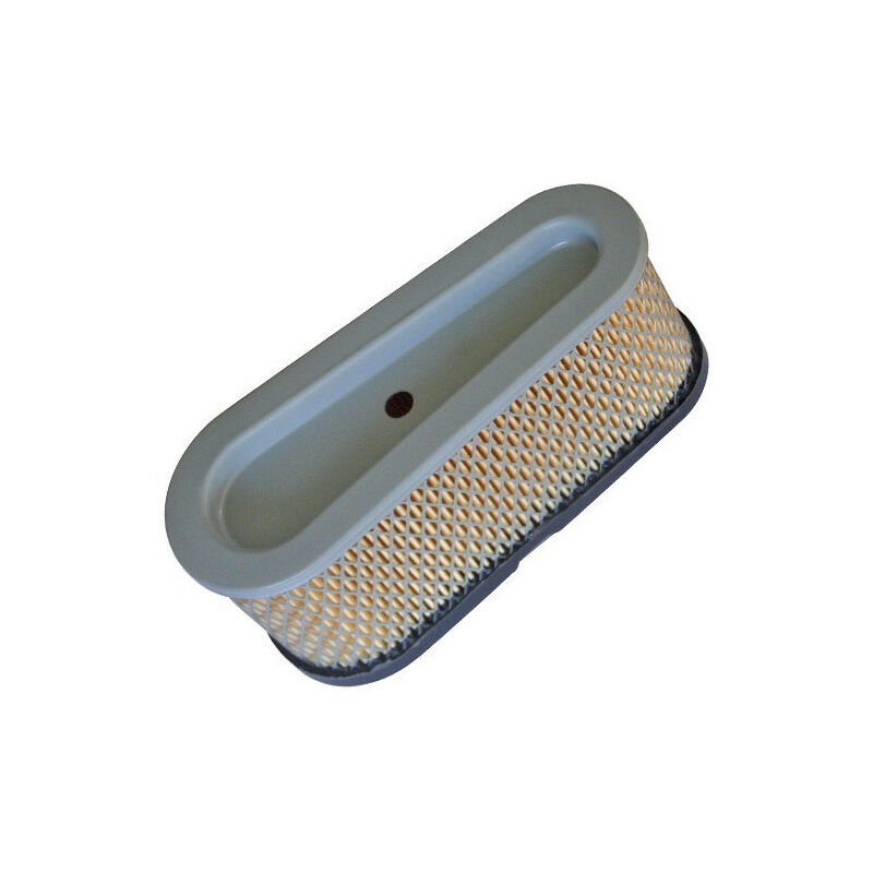foto del prodotto briggs stratton filtro aria briggs e stratton 496894s